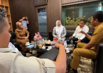 Bidan yang menyeberang sungai demi pasien di Pasaman diangkat jadi nakes teladan 2025. (dok. adpsb)