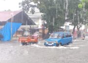 Hujan Deras Guyur Padang, Jalan Tergenang hingga Pohon Tumbang Timpa Rumah Warga