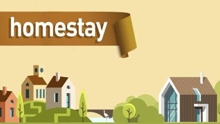 Ilustrasi home stay. (Foto: Ist)