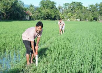 Kementerian ATR/BPN Dorong Partisipasi Masyarakat untuk Pasang Patok Batas Tanah Melalui GEMAPATAS 1 Gerakan Masyarakat Pemasangan Tanda Batas (GEMAPATAS) yang dicanangkan Kementerian ATR/BPN. (dok. istimewa)