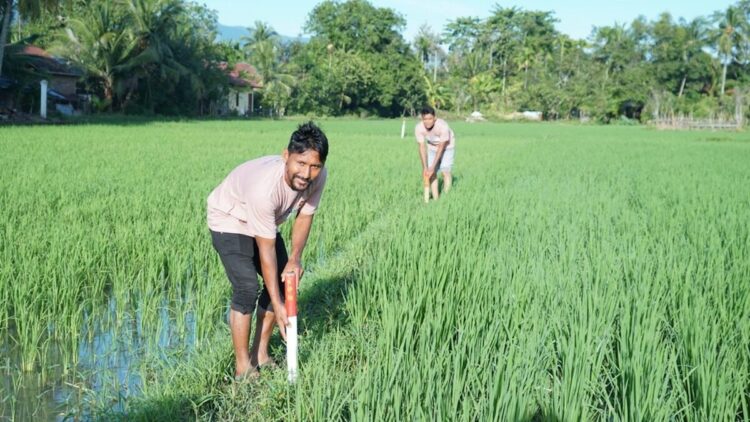 Gerakan Masyarakat Pemasangan Tanda Batas (GEMAPATAS) yang dicanangkan Kementerian ATR/BPN. (dok. istimewa)