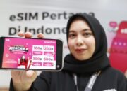 Sambut Perayaan Kemerdekaan RI Ke-80, XLSMART Hadirkan Beragam Promo Spesial Kemerdekaan