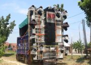 Sound Horeg Bisa Picu Tinnitus dan Gangguan Saraf, Warga Diminta Waspada