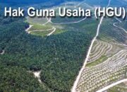 24 Perusahaan Sawit di Pasaman Barat Belum Kantongi HGU, Pemkab Minta Segera Urus