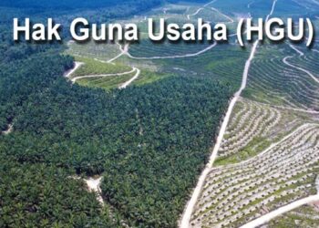 24 Perusahaan Sawit di Pasaman Barat Belum Kantongi HGU, Pemkab Minta Segera Urus