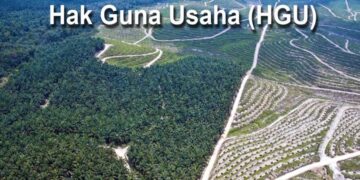 24 Perusahaan Sawit di Pasaman Barat Belum Kantongi HGU, Pemkab Minta Segera Urus