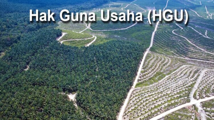 24 Perusahaan Sawit di Pasaman Barat Belum Kantongi HGU, Pemkab Minta Segera Urus 1 Ilustrasi HGU. (Foto: Ist)