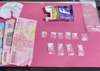 Diduga Pengedar Sabu, Pria di Limapuluh Kota Diciduk Polisi