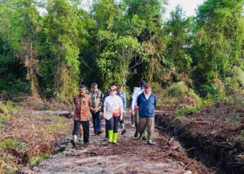 Wakil Menteri Dikti Saintek, Stella Christie, meninjau calon lokasi Sekolah Garuda di Katingan Hilir, Kalimantan Tengah, Jumat (12/9). (dok. PCO)