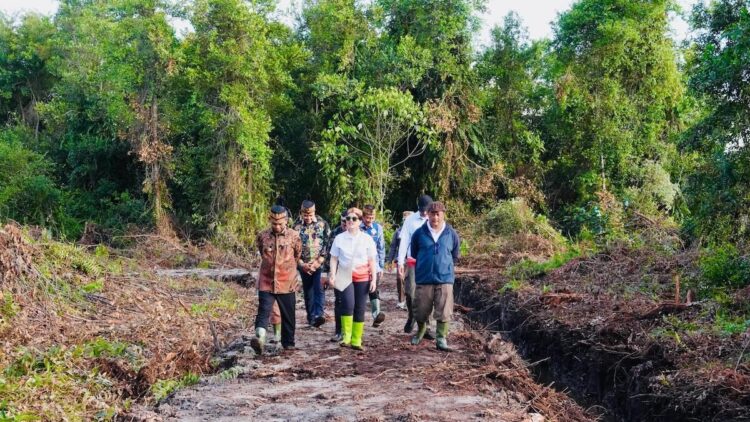 Wakil Menteri Dikti Saintek, Stella Christie, meninjau calon lokasi Sekolah Garuda di Katingan Hilir, Kalimantan Tengah, Jumat (12/9). (dok. PCO)