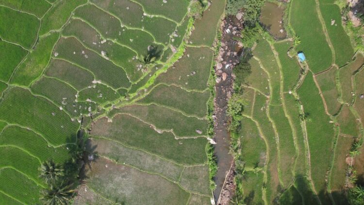 Pembangunan Harus Berkeadilan, Menteri Nusron: Reforma Agraria Jawab Ketimpangan Penguasaan dan Pemilikan Tanah 1 ilustrasi pemetaan tanah. (dok. istimewa)