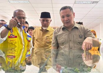 Gubernur Mahyeldi cek maket plan pembangunan flyover Sitinjau Lauik. (dok. istimewa)