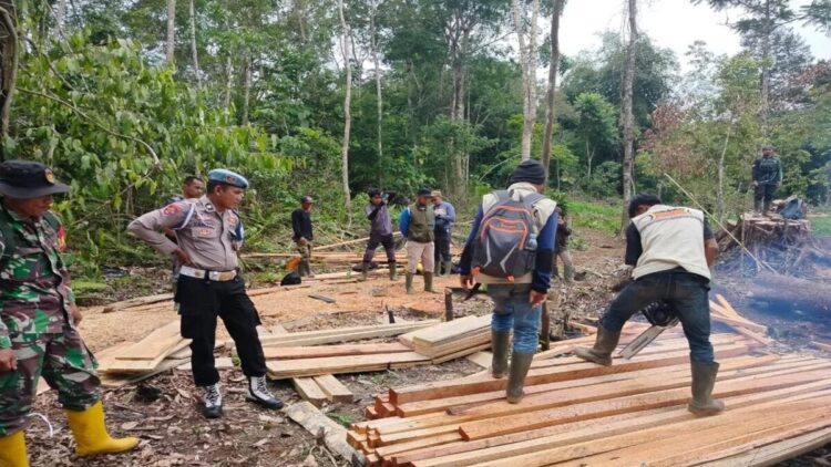Patroli Gabungan Temukan Pembalakan Liar di Cagar Alam Maninjau 1 Tim Gabungan BKSDA Sumbar Polsek Ampek Koto Aur Malintang dan Koramil 08 Sungai Geringging sedang memusnahkan kayu di dalam kawasan Cagar Alam Maninjau di Kecamatan Ampek Koto Aur Malintang, Kabupaten Padang Pariaman, Kamis (9/10). Dok ANTARA/Yusrizal