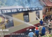 Kebakaran di Agam, Seorang Balita Berhasil Diselamatkan saat Api Berkobar