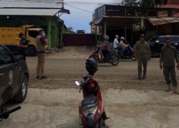 Peternak Lokal Kecam Aksi Paksa Masuk Ternak di Gunungsitoli, Tuding Aparat Lemah