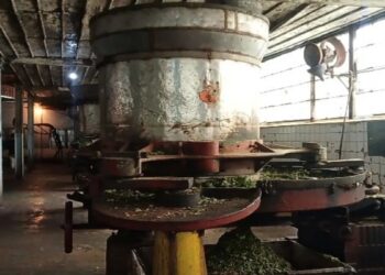 Mesin Peninggalan Belanda Masih jadi Andalan Produksi Teh Kayu Aro