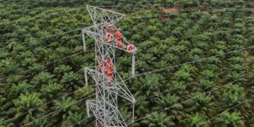 ilustrasi pemeliharaan jaringan PLN. (dok. istimewa)
