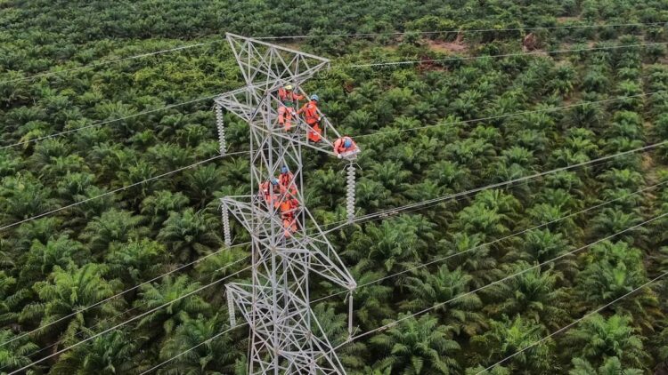 PLN Dorong Interkoneksi ASEAN Power Grid untuk Akselerasi Transisi Energi Bersih 1 ilustrasi pemeliharaan jaringan PLN. (dok. istimewa)