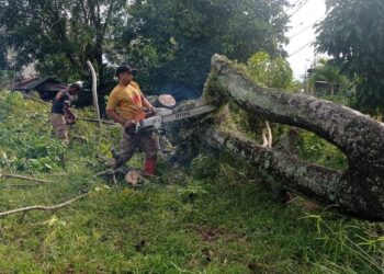Personel BPBD Padang sedang memotong material kayu yang menghambat jalan. (dok. istimewa)