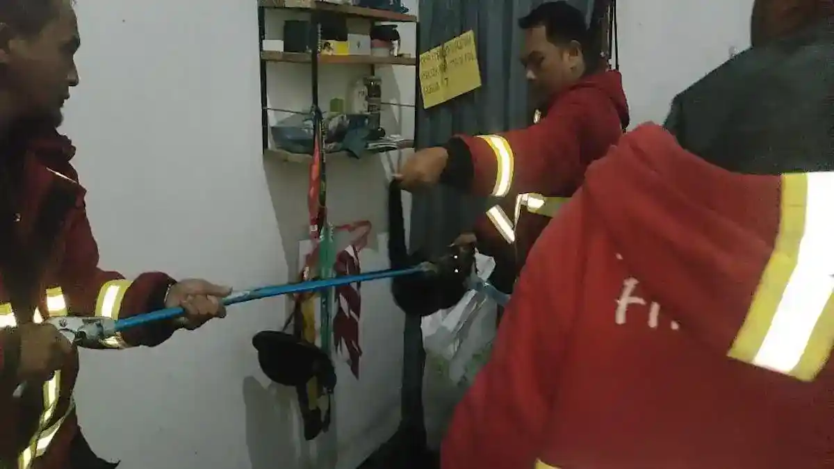 Damkar Padang evakuasi musang dari rumah warga. (dok. Damkar Padang)