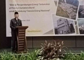 Gubernur Mahyeldi berbicara di FGD energi terbarukan yang digelar Kementerian ESDM. (dok. istimewa)
