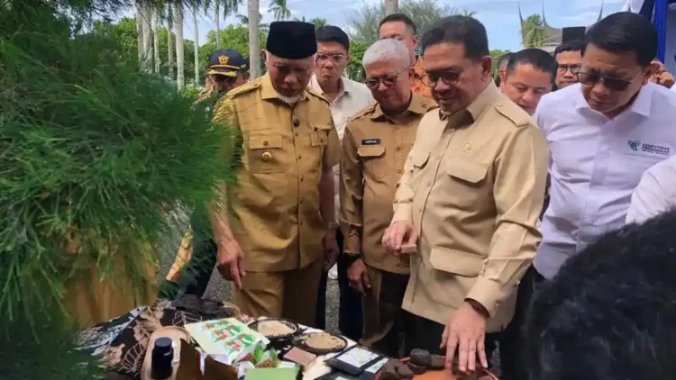 Mendag Lepas 27 Ton Gambir Sumbar ke India, Dorong Hilirisasi Sebagai Kekuatan Ekspor Baru 1 Mendag melihat produk gambir Sumbar sebelum melakukan pelepasan untuk ekspor perdana ke India. (dok. adpsb)