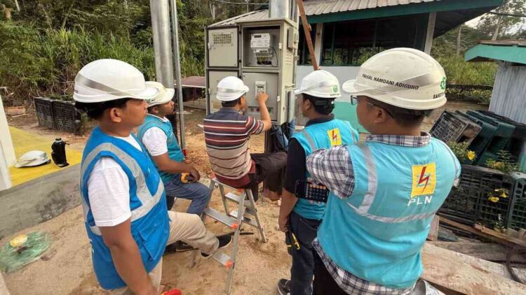 PLN ULP Sitiung Lakukan Penyalaan Pelanggan TM 240.000 VA untuk PT Bukit Raya Mudisa 1 Penyalaan pelanggan PLN di Sitiung. (dok. istimewa)