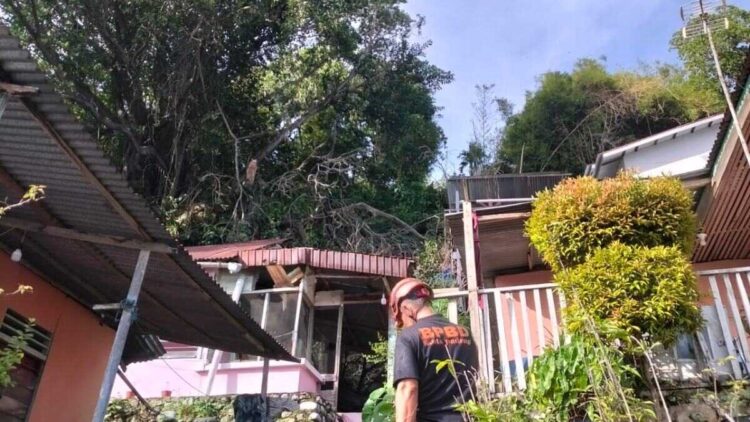 Pohon tumbang di Seberang Palinggam timpa tiga rumah