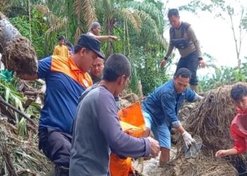 Petugas gabungan sedang mencari korban banjir bandang  di Salareh Aia, Kecamatan Palembayan, Kabupaten Agam. (Dok ANTARA/HO/BPBD Agam/Antara)