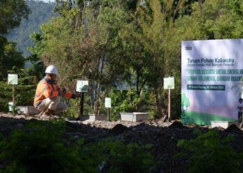 Semen Padang tanam kaliandra bersama pelajar dalam peringatan hari sumpah pemuda. (dok. istimewa)