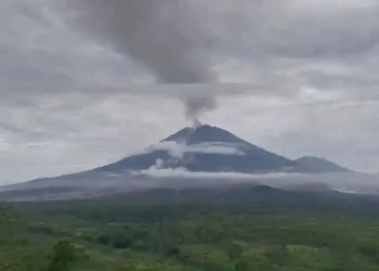 Proses Evakuasi Gunung Semeru, 178 Pendaki Dipastikan Selamat