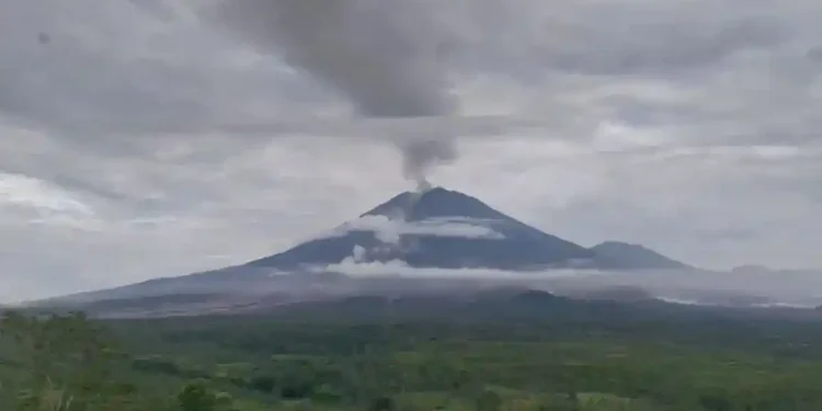 WhatsApp Image 2025 11 20 at 07.58.24