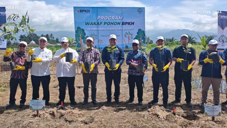 BPKH dan Muhammadiyah Luncurkan Program Wakaf Pohon untuk Penghijauan di Sumbar 1 Program wakaf pohon BPKH. (dok. Radarsumbar.com)