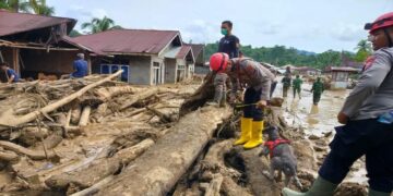 BPBD: Korban Tewas Banjir Bandang-Longsor di Agam Capai 120 Orang