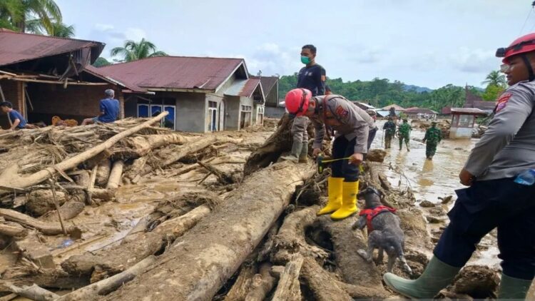 Personel Polri sedang mencari korban yang hilang dampak banjir bandang di Salareh Aia, Kecamatan Palembayan, Kabupaten Agam. Dok ANTARA/Yusrizal