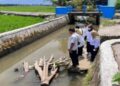 Dinas Pertanian Pangan dan Perikanan (DPPP) Kota Pariaman, Sumbar meninjau salah satu aliran sungai di daerah itu guna melihat ikan restocking. Antara/HO-DPPP Pariaman