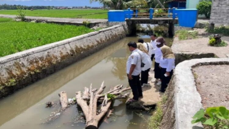 Dinas Pertanian Pangan dan Perikanan (DPPP) Kota Pariaman, Sumbar meninjau salah satu aliran sungai di daerah itu guna melihat ikan restocking. Antara/HO-DPPP Pariaman