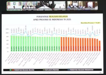 Persentase realisasi belanja daerah se-Indonesia. (dok. istimewa)