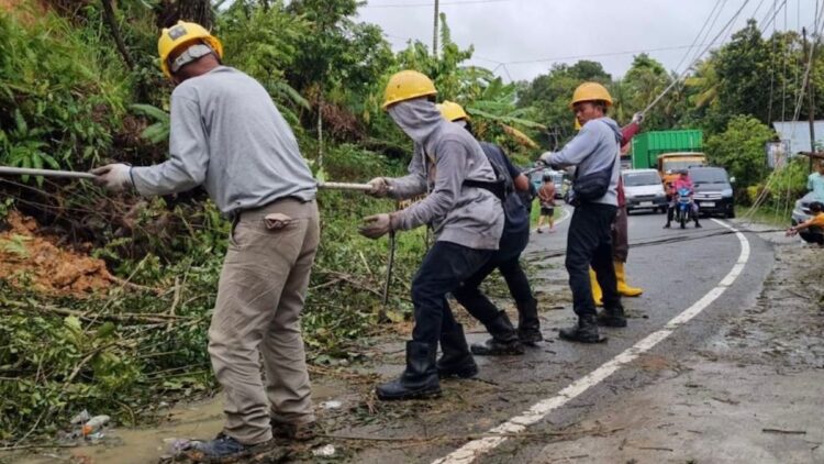 Gubernur Sumbar Apresiasi Kerja PLN Pulihkan Listrik Pascabencana 1 Petugas PLN berusaha memulihkan jaringan listrik di Lembah Gumanti, Kabupaten Solok. (dok. istimewa)