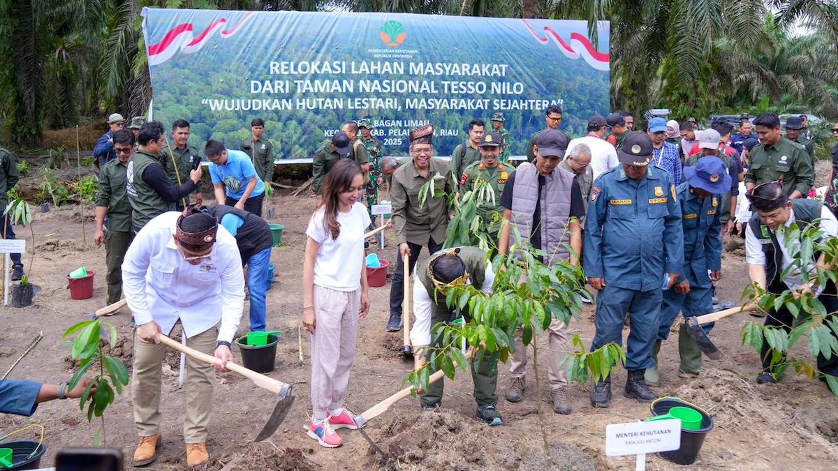 Relokasi lahan masyarakat dari Taman Nasional Tesso Nilo. (dok. istimewa)