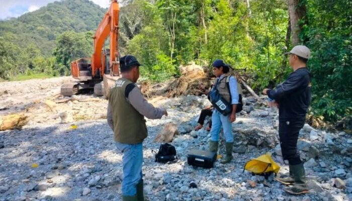 Beruang Muncul di Lokasi Bencana, BKSDA Sumbar Turunkan Tim