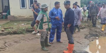 Kerugian akibat Banjir Tembus Rp6 Miliar, Berikut Upaya Pemkab Pessel Bantu Petani
