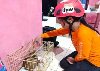 COP Turunkan Tim Animal Rescue Bantu Satwa Korban Banjir di Agam 18 COP Turunkan Tim Animal Rescue Bantu Satwa Korban Banjir di Agam