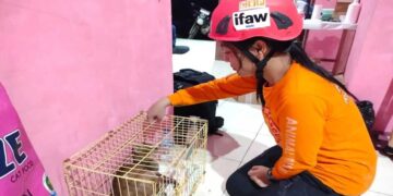 COP Turunkan Tim Animal Rescue Bantu Satwa Korban Banjir di Agam