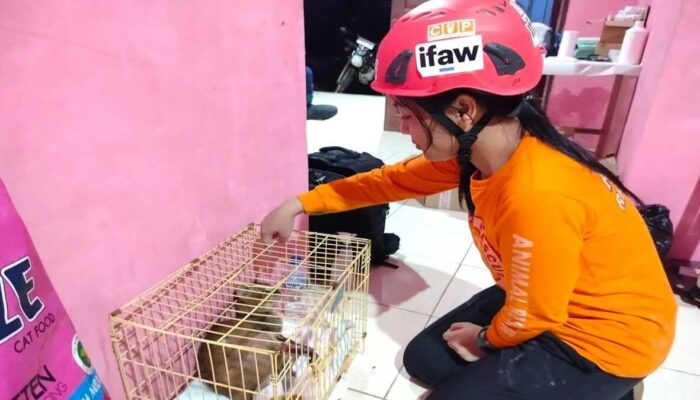 COP Turunkan Tim Animal Rescue Bantu Satwa Korban Banjir di Agam