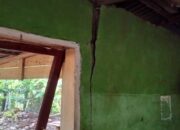 BMKG Catat Tujuh Kali Gempa Guncang Agam Sejak Minggu Pagi