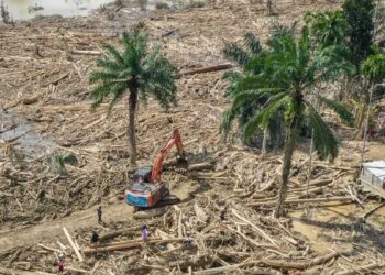 Bareskrim Polri Fokus Selidiki Aktivitas Panglong dan Illegal Logging di Aceh