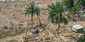 Komnas HAM Minta Pemerintah Koreksi Kebijakan Hutan dan Lingkungan Pascabencana di Sumatera 13 Bareskrim Polri Fokus Selidiki Aktivitas Panglong dan Illegal Logging di Aceh
