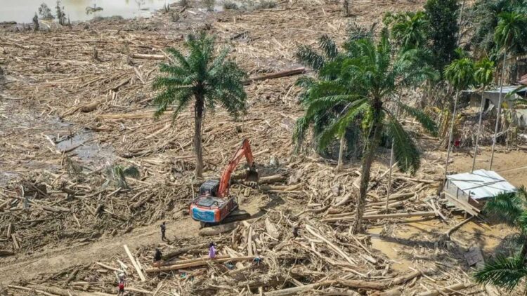 Petugas mengoperasikan eskavator untuk membersihkan jalan akses antardesa dari batang-batang kayu gelondongan pascabanjir bandang di Desa Tanjung Karang, Karang Baru, Kabupaten Aceh Tamiang, Aceh, Minggu (7/12/2025). (ANTARA FOTO/ERLANGGA BREGAS PRAKOSO)