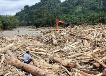 Banjir Sumatera Seret Kayu Gelondongan, Bareskrim Selidiki Dugaan Pembalakan Liar